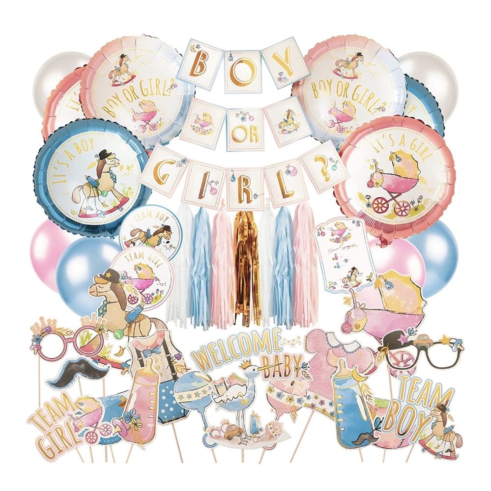 Gender reveal party kit